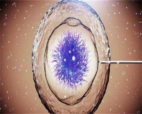 三大代孕公司_代孕生男孩费用多少,阴道出血＝流产?为你揭开胚胎移植第15天出