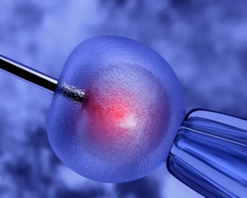 国内助孕_国内助孕机构_国内助孕机构