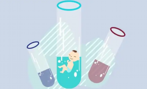 女性备孕吃什么养卵泡-这8种食物建议多吃