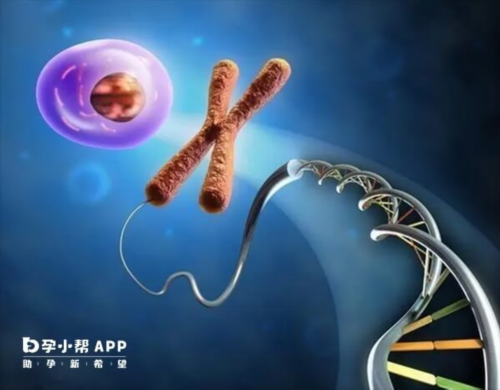 重庆试管婴儿多少费用