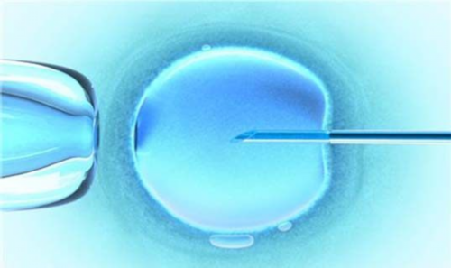试管代生群-移植囊胚失败的症状[冻囊胚移植后失败征兆]