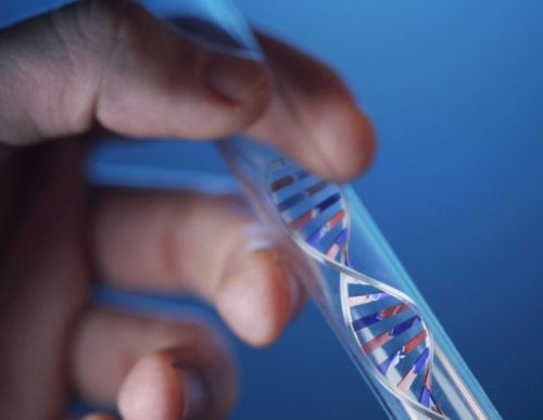 供卵试管代孕在哪里,试管多精受精卵能否用别还不造，强行移植后果严重要注