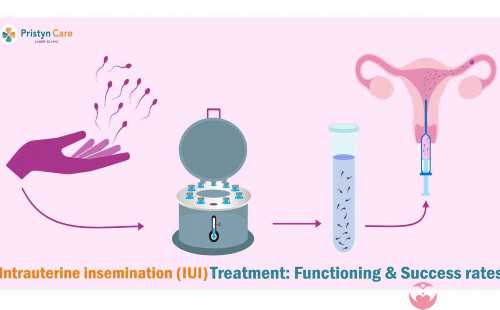 试管宫腔镜检查后多久能恢复？试管宫腔镜检查后多久能恢复正常生活？