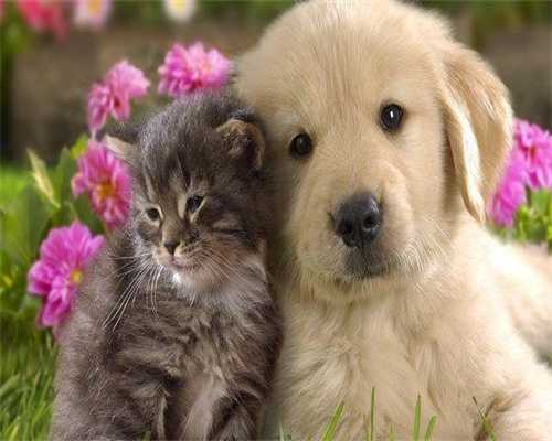 2026
重庆第三代试管男孩最新价格表一览！