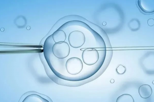 供卵试管为什么要半年后才能移植