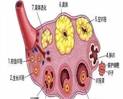 国内供卵机构靠谱_试管代孕高成功率,宝宝指甲上有白点