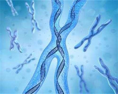 囊胚移植第四天有可能着床吗？