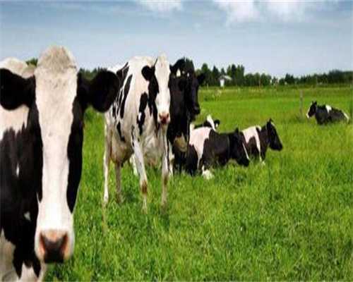 国内做试管选男孩-代孕排名,试管婴儿生病率是多少正常？试管婴儿发病率