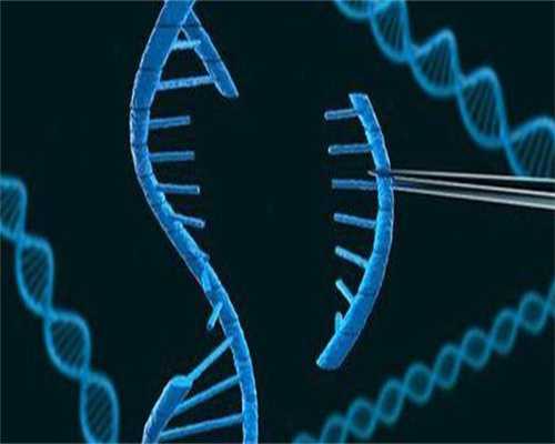 44岁取卵移植成功经验分享