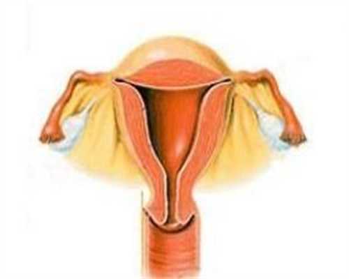 
              国内供卵试管助孕对女性身体的要求有哪些？
