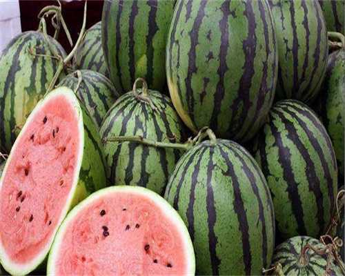 国内靠谱代孕公司_试管生男孩费用大概多少,染色体多态可以做试管嘛_染色体多